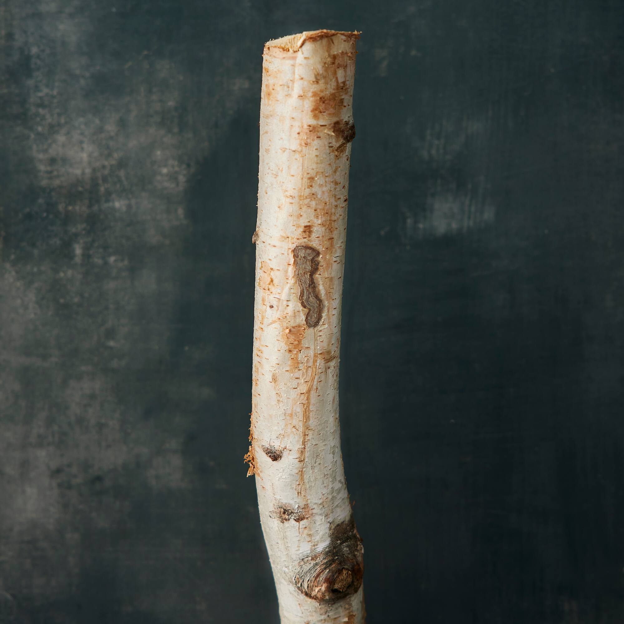 Ashland® Natural River Birch